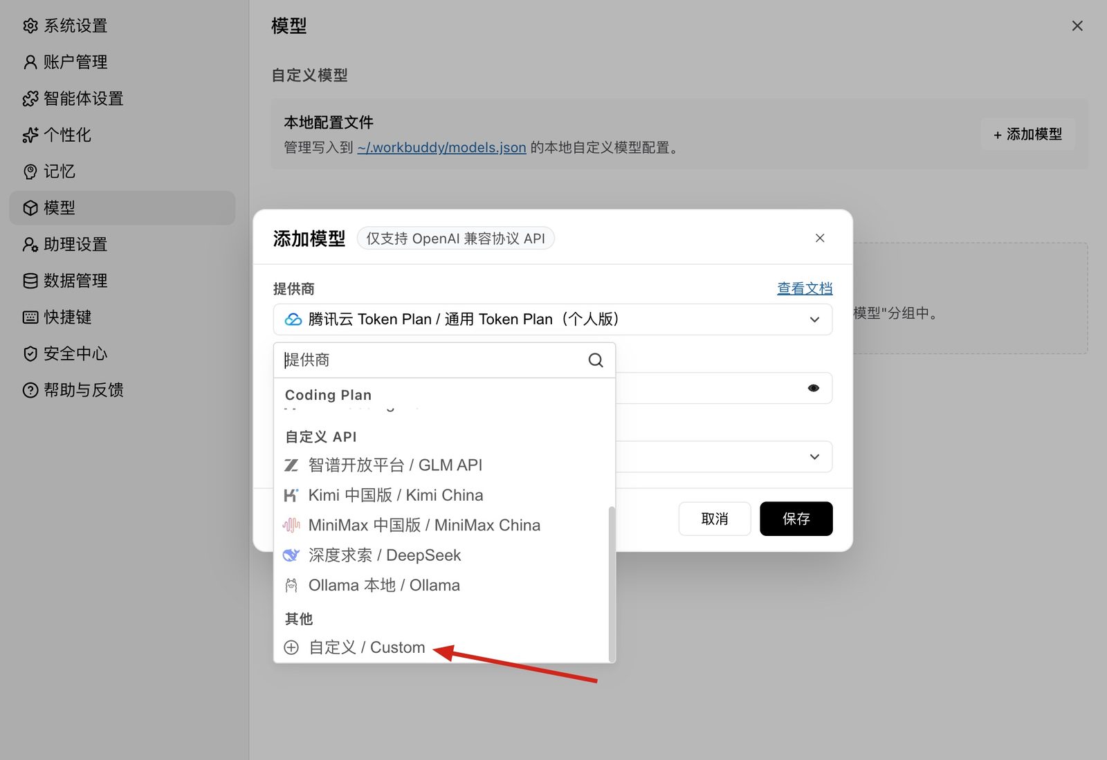 添加模型弹窗的提供商列表，箭头指向「自定义 / Custom」